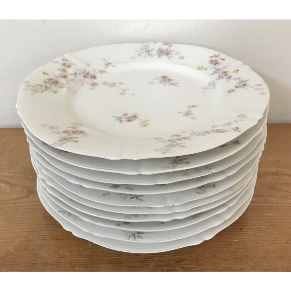 Set Lot 10 Vintage Theo Haviland Limogues Floral Porcelain 9" Lunch Bread Plates